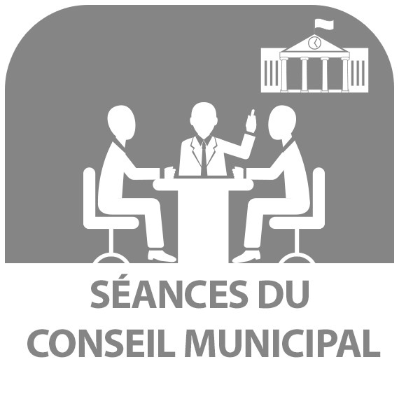 séances conseil municipal sarry 89